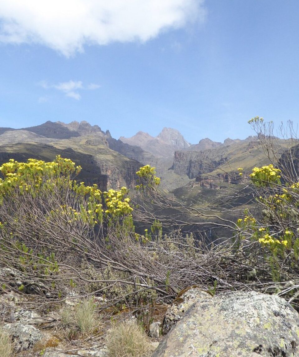 Kenya Mountain