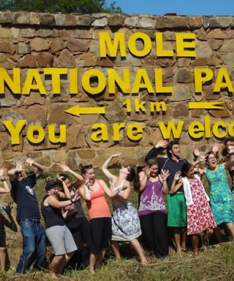 mole-national-park-1