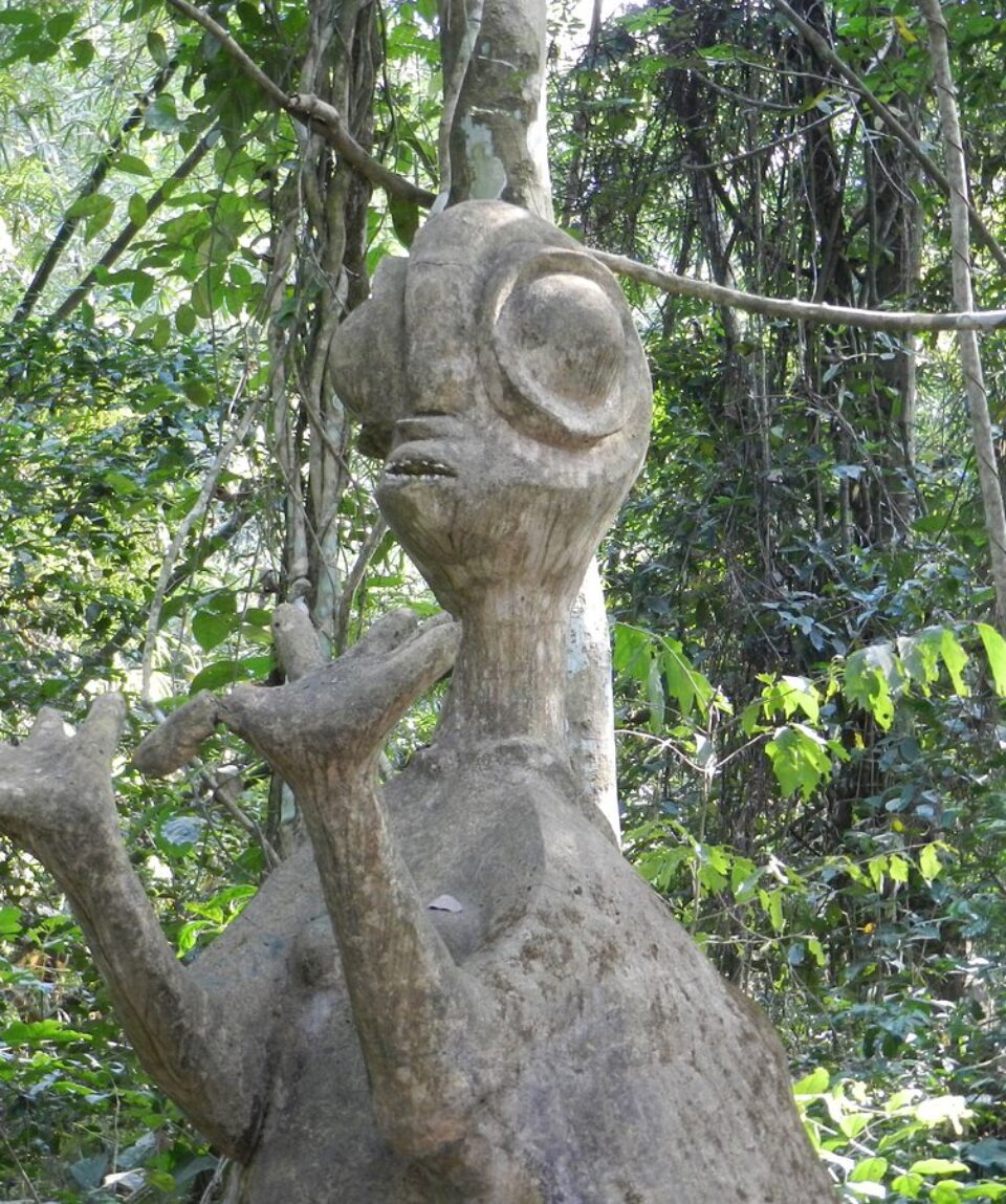 osogbo-sacred-forest