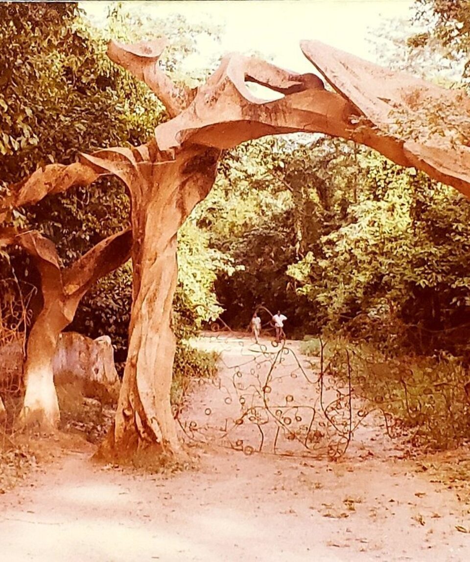 osun-osogbo-sacred-grove (1)