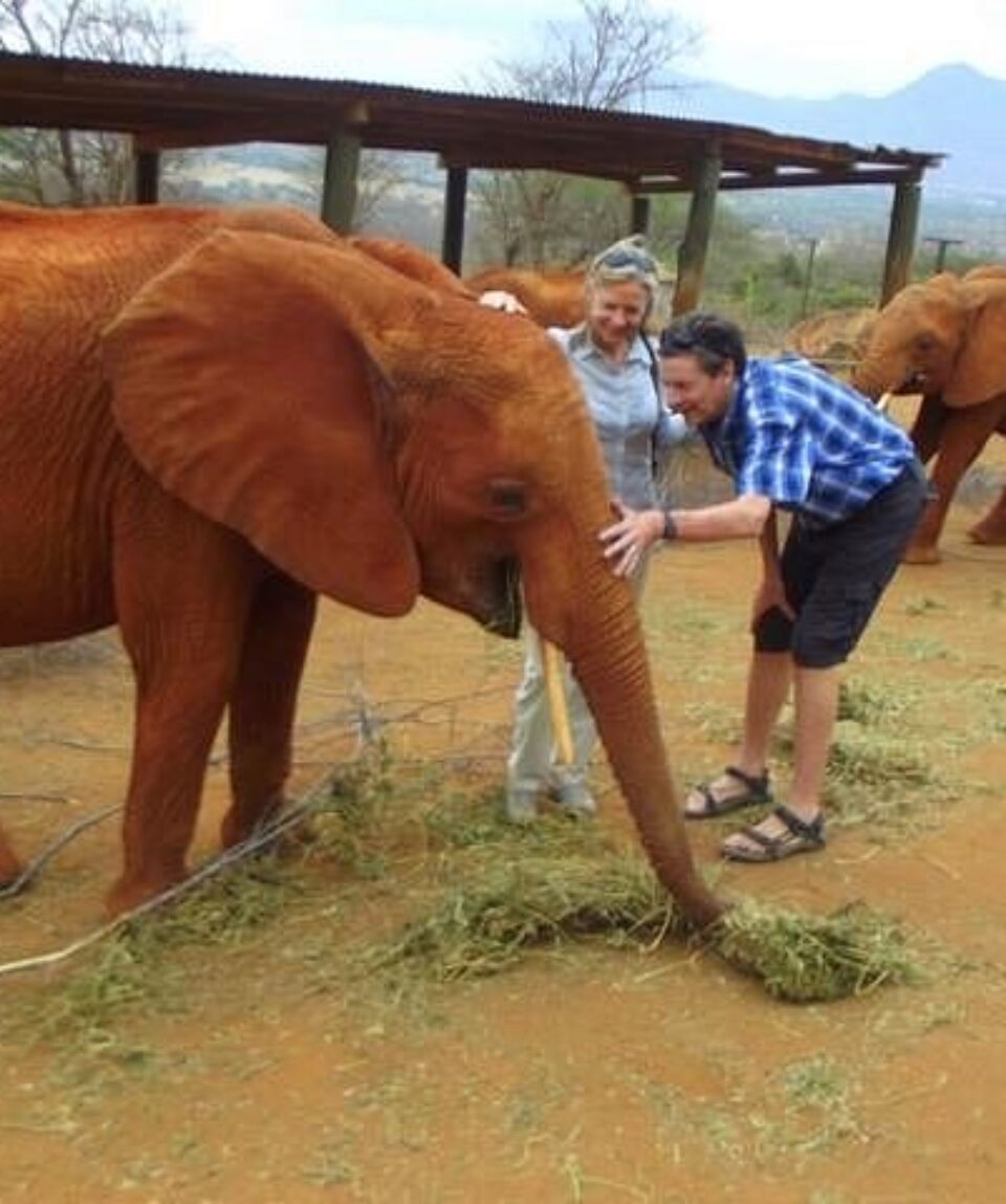 our-client-enjoying the sight of a kenyan elephant